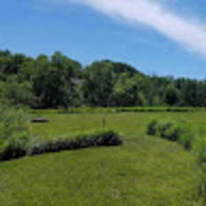 Meet your Posher, Leslie